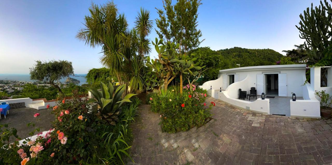 Barracudasuite Ischia Extérieur photo