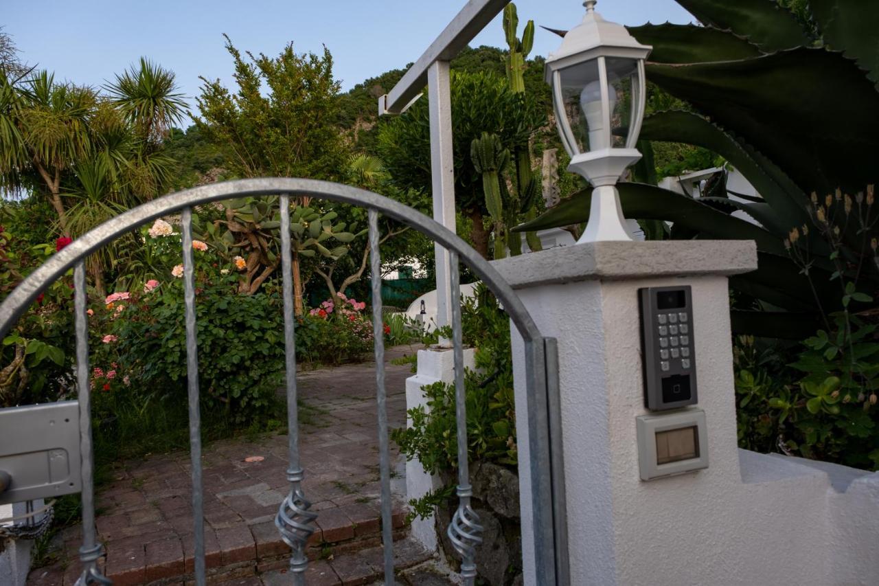 Barracudasuite Ischia Extérieur photo