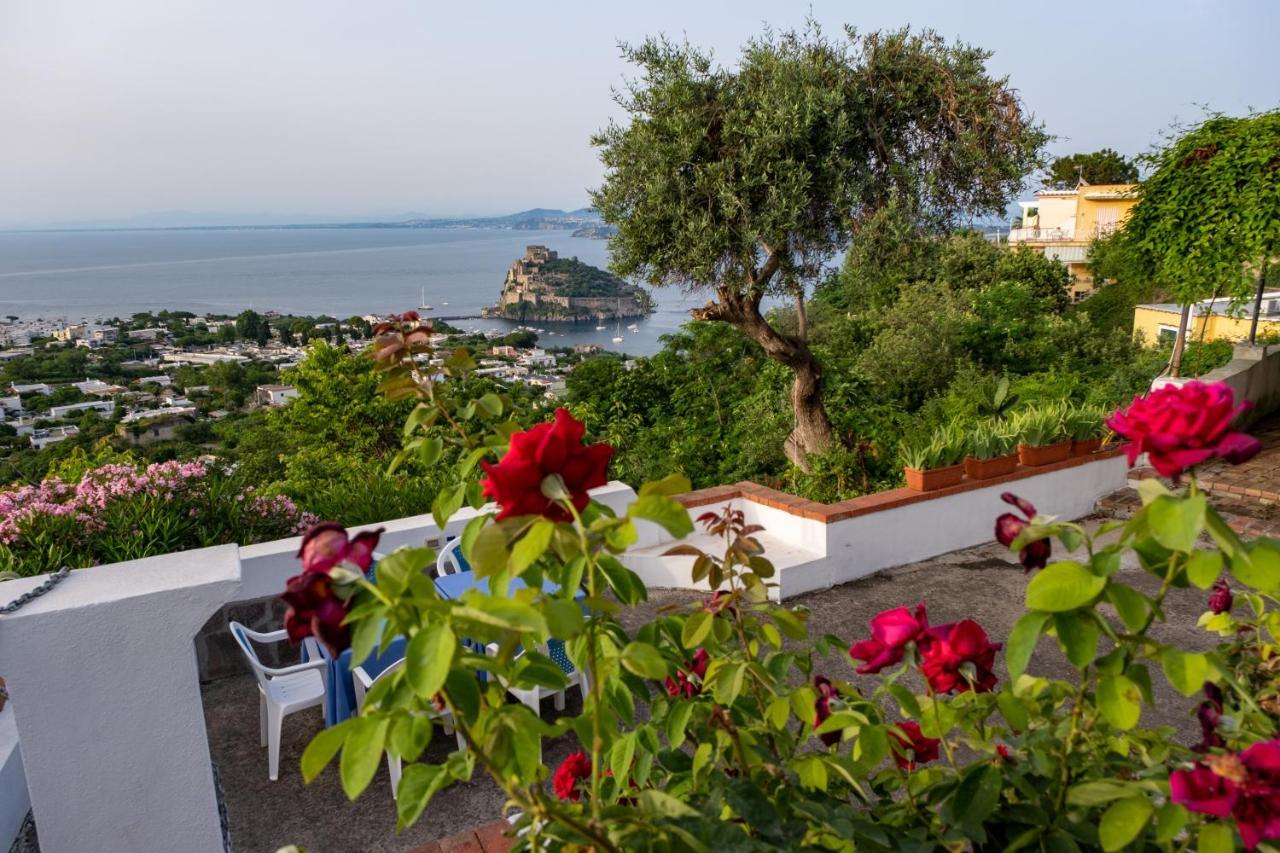 Barracudasuite Ischia Extérieur photo