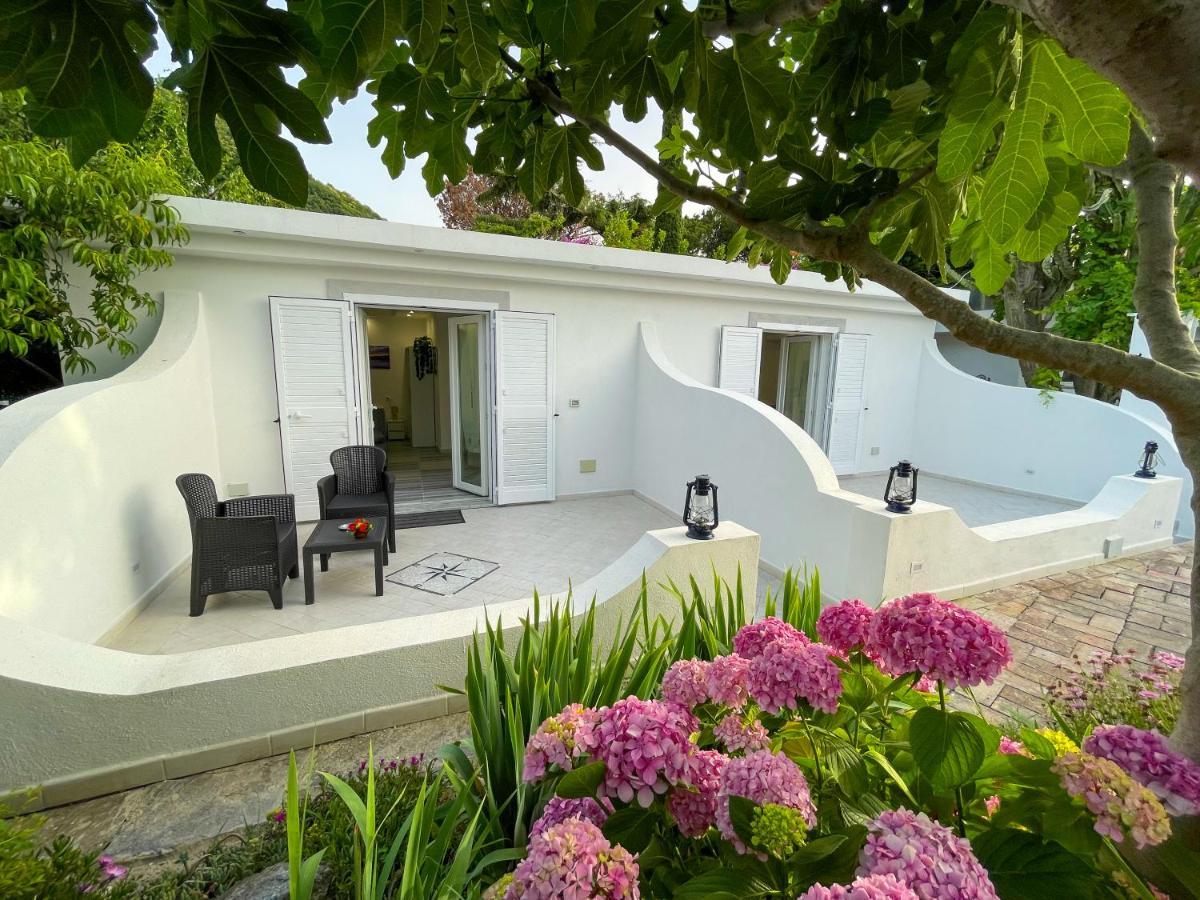 Barracudasuite Ischia Extérieur photo